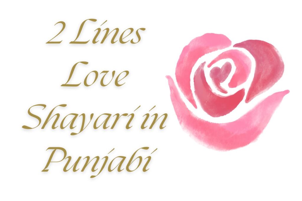 2 Lines Love Shayari in Punjabi
